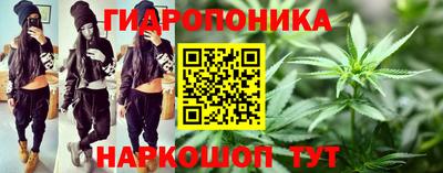 PSILOCYBIN Усть-Джегута