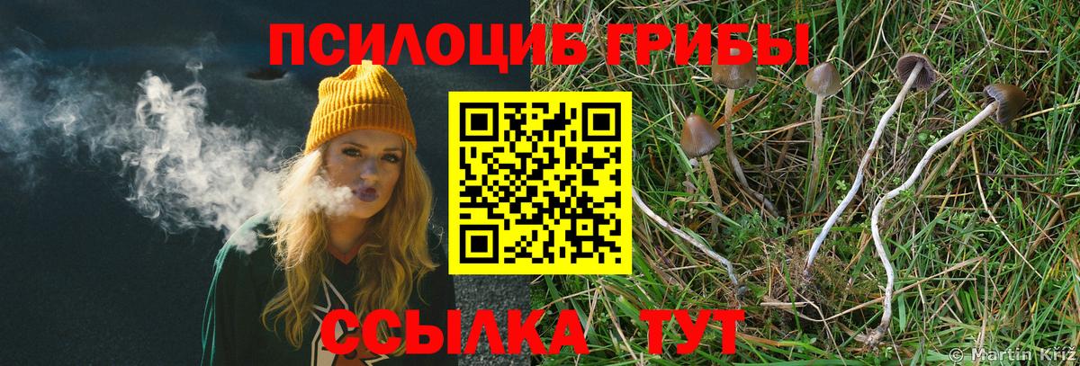 Кулебаки  Галлюциногенные грибы мухоморы  Вход с VPN  Галлюциногенные грибы прущие грибы 